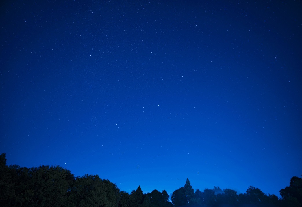 ブログ機能を開放しました！